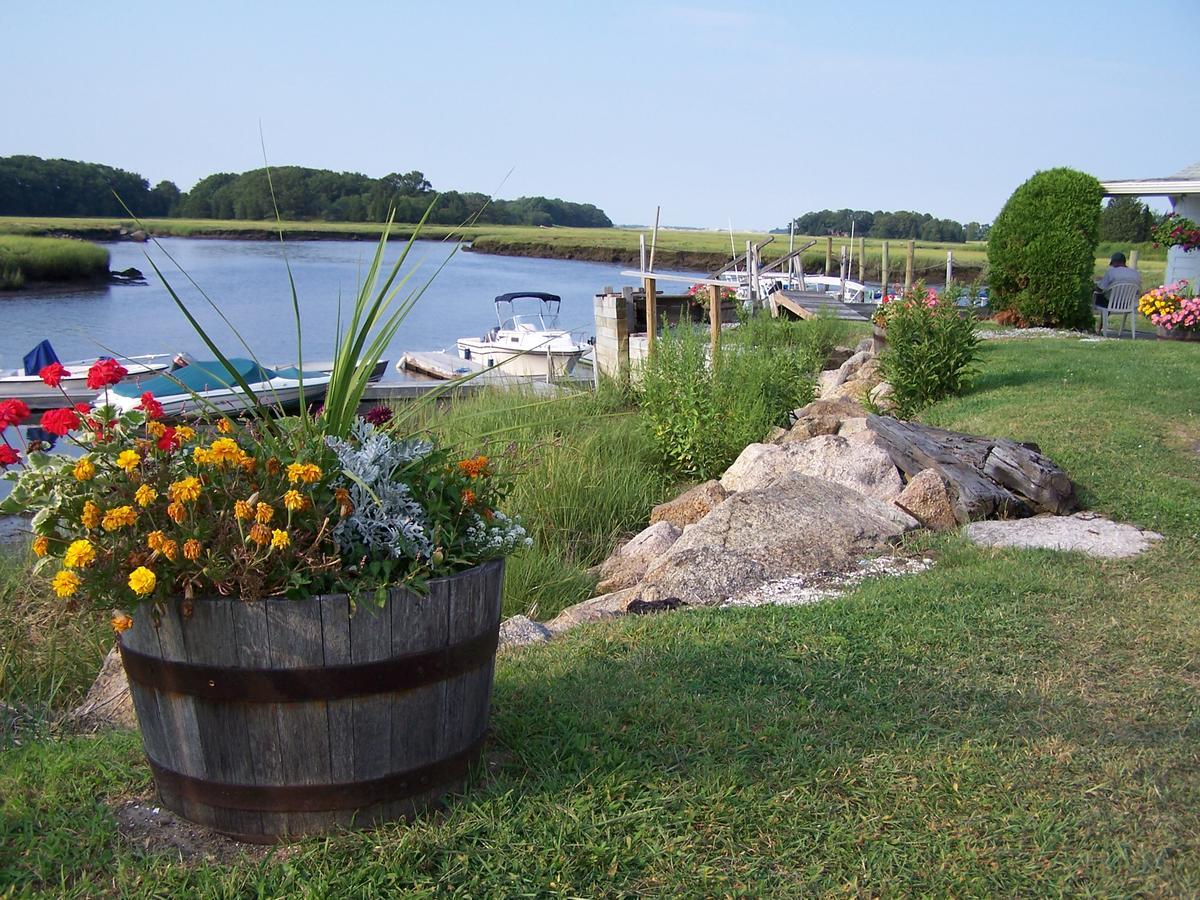 Shea'S Riverside Inn & Motel Essex Buitenkant foto